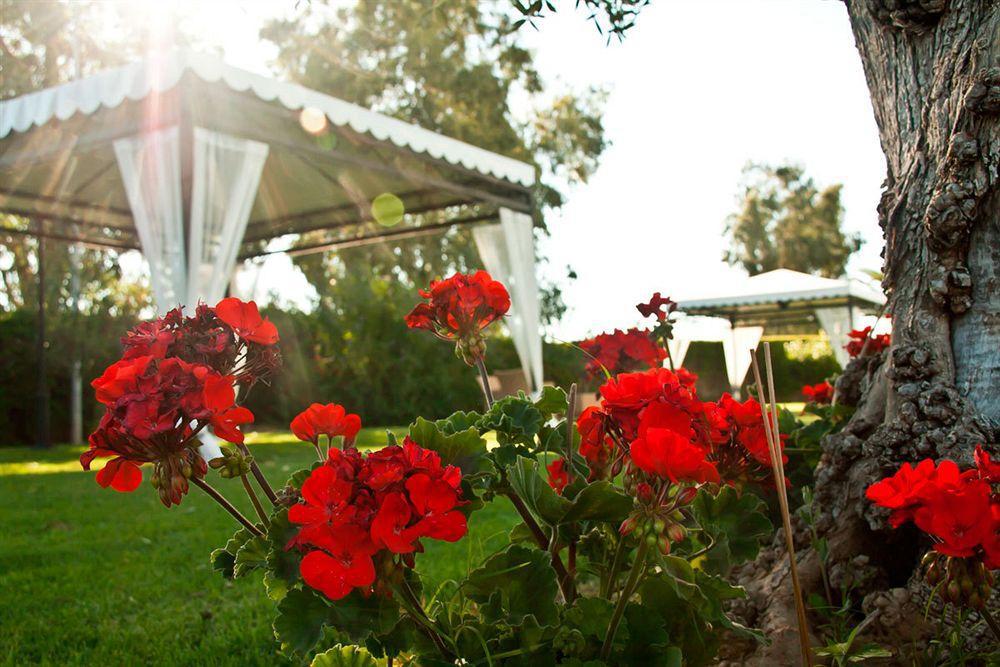 Las Bovedas Badajoz Buitenkant foto